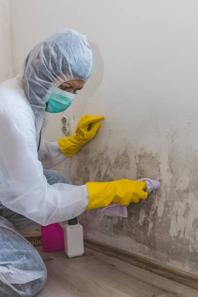 Best Industrial Mold Remediation  in Malabar, FL